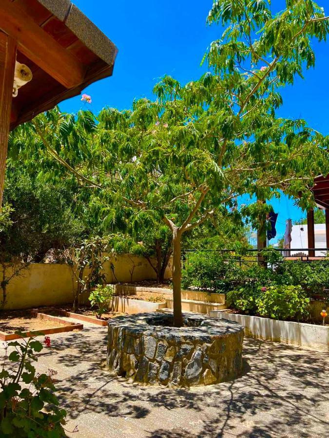 Cherrywood Creta Apartment Ierápetra Buitenkant foto